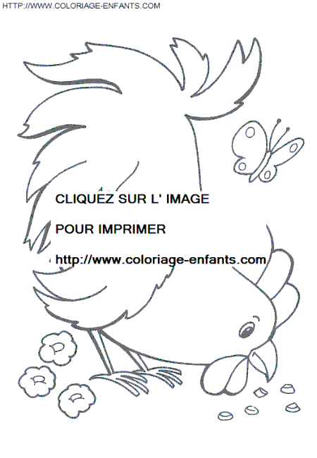 gallbladder coloring pages - photo #15