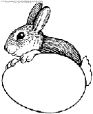 dibujo conejos