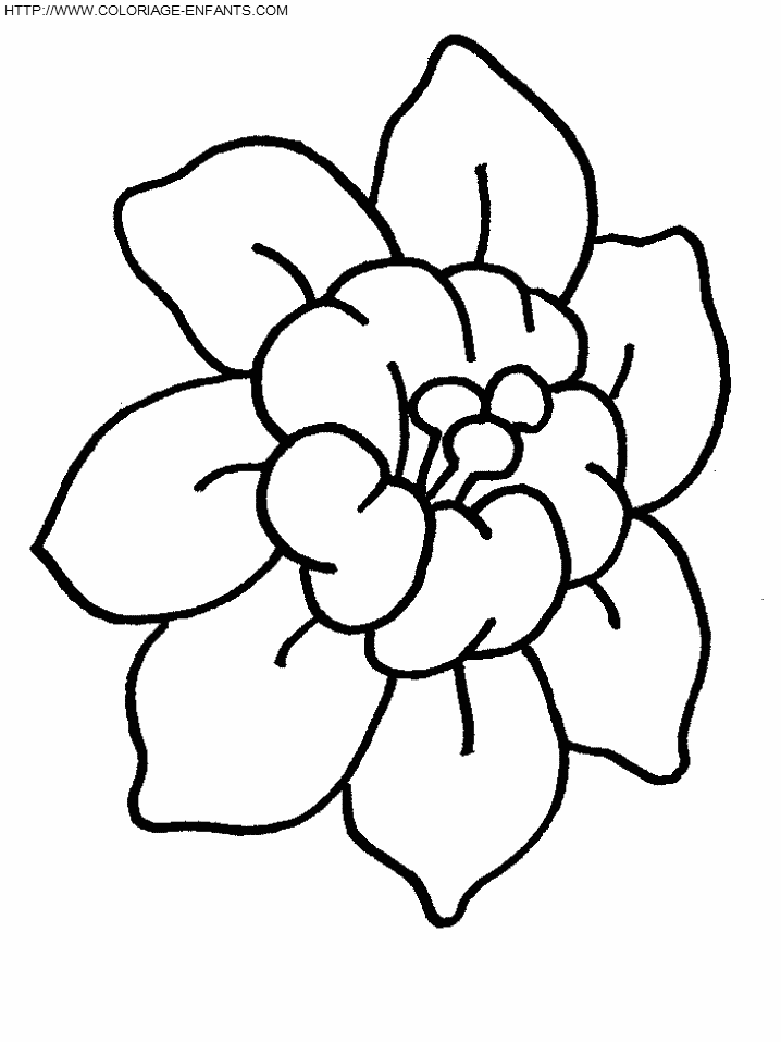 dibujo Flor