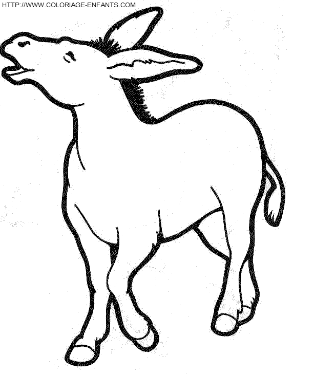 dibujo Burros