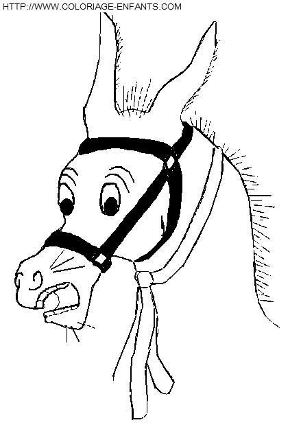 dibujo Burros