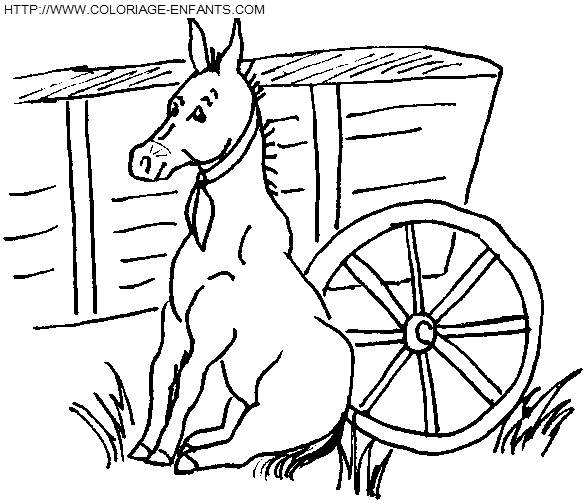 dibujo Burros