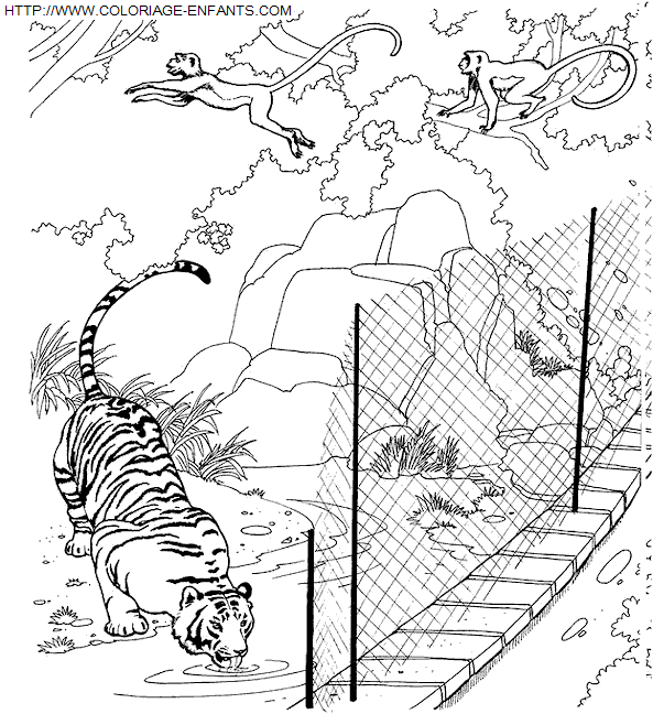 dibujo Zoo