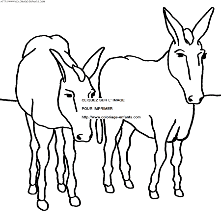 dibujo Burros