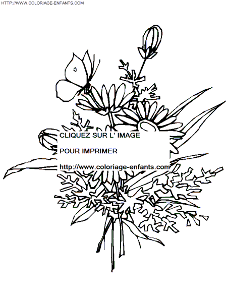 dibujo Flor
