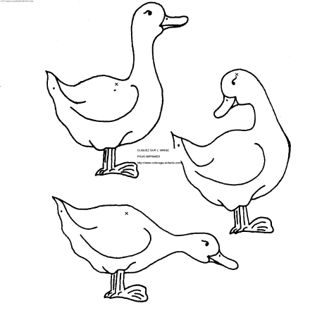 dibujo Patos