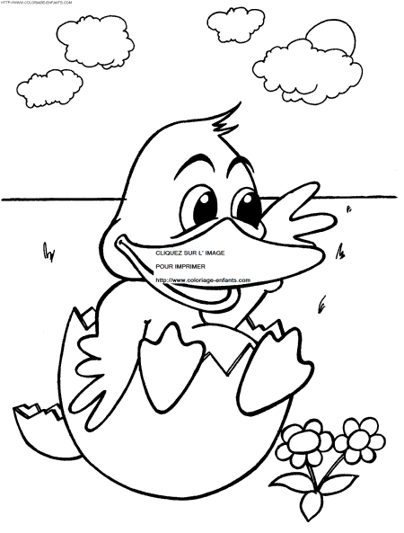 dibujo Patos