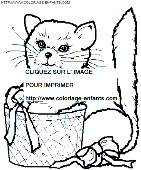 dibujo Gatos