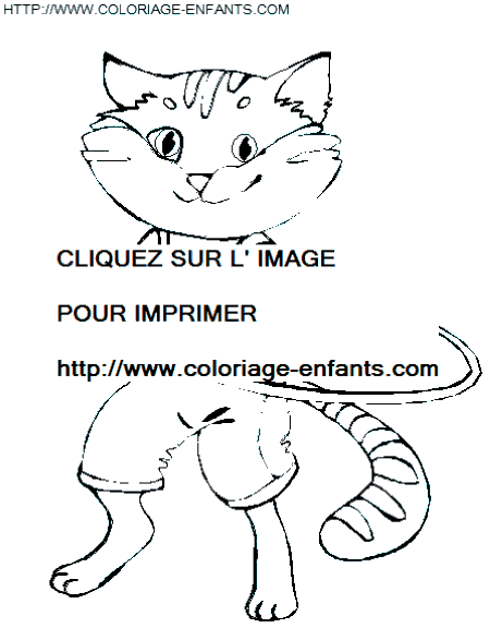 dibujo Gatos