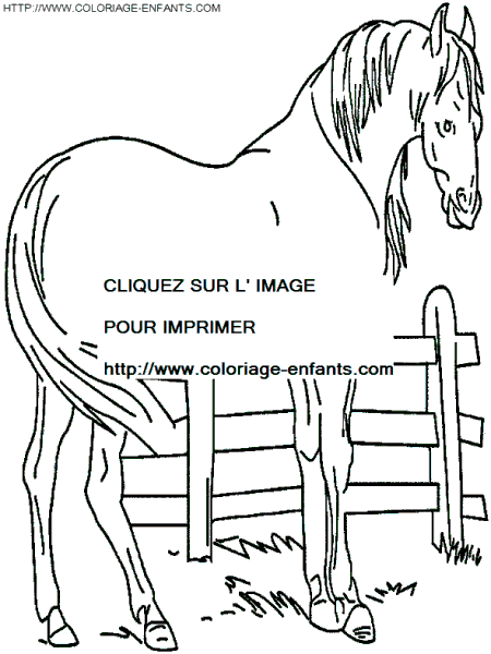 dibujo Caballo