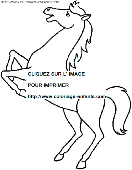 dibujo Caballo