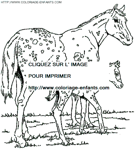 dibujo Caballo