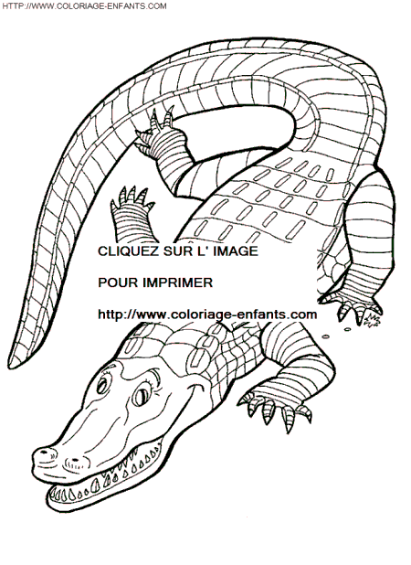 dibujo Crocodilos