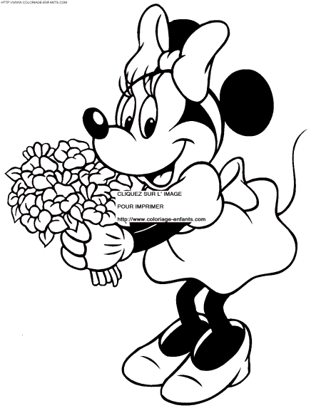 dibujo Minnie