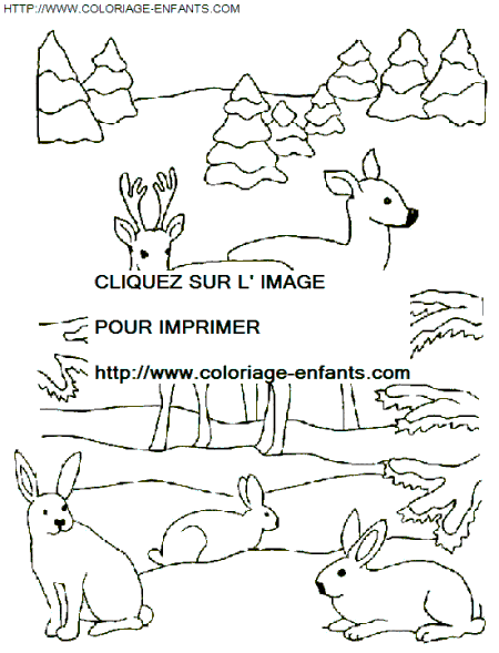dibujo navidad animales