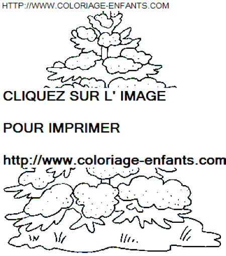 dibujo Navidad Arbol de Navidad