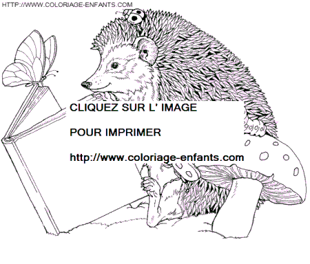 dibujo Erizos