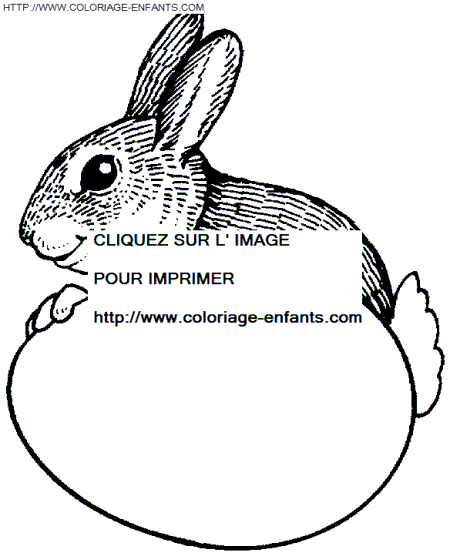 dibujo Conejos