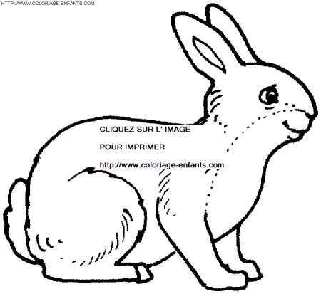 dibujo Conejos