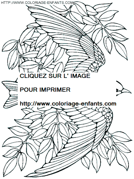 dibujo Pajaros