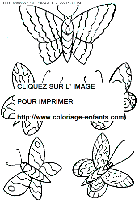 dibujo Mariposas