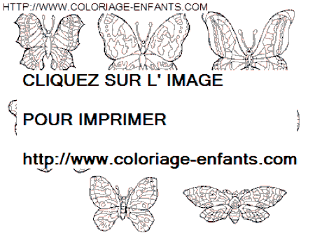 dibujo Mariposas