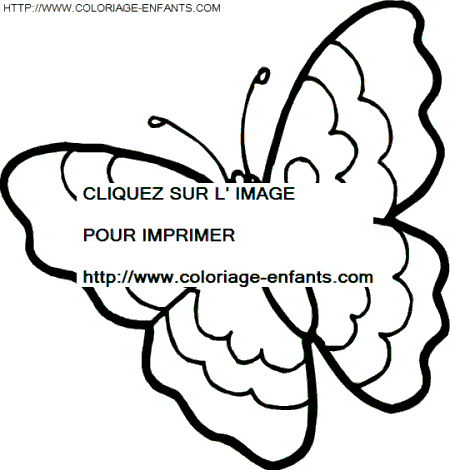 dibujo Mariposas