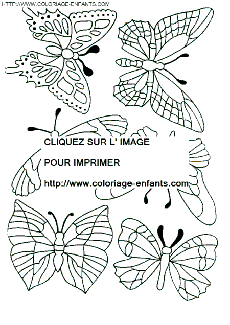 dibujo Mariposas