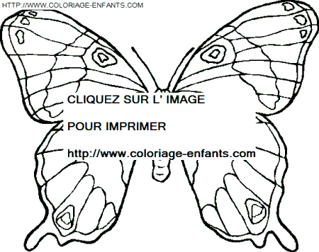 dibujo Mariposas