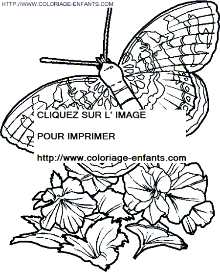 dibujo Mariposas