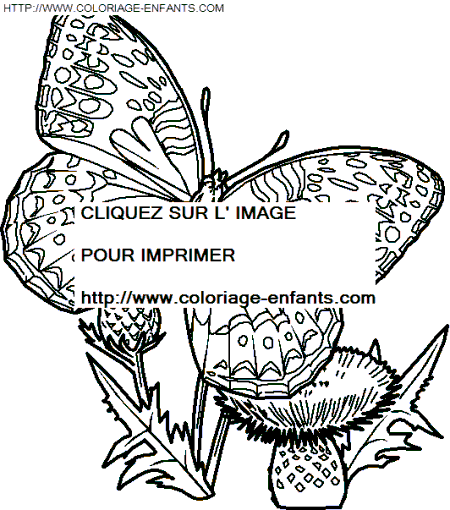 dibujo Mariposas