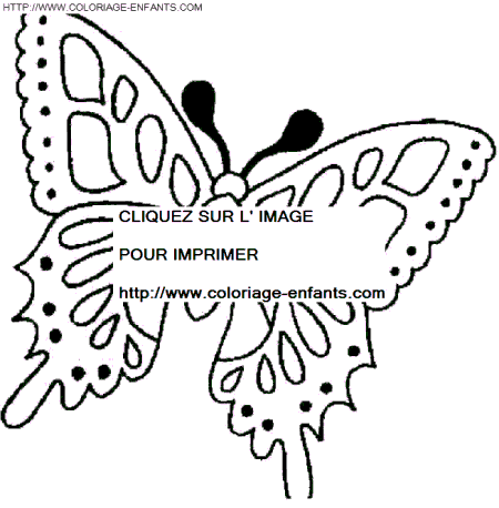 dibujo Mariposas