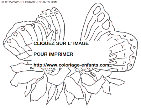 dibujo Mariposas