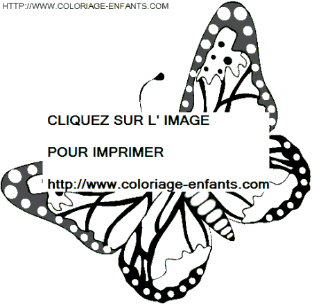 dibujo Mariposas