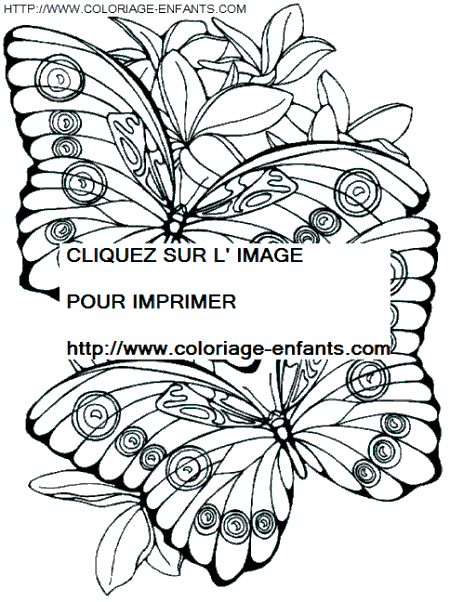 dibujo Mariposas