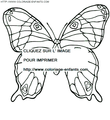 dibujo Mariposas