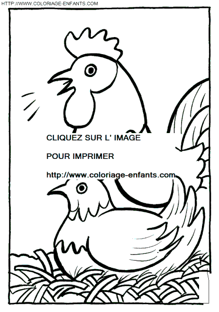 dibujo Gallinas