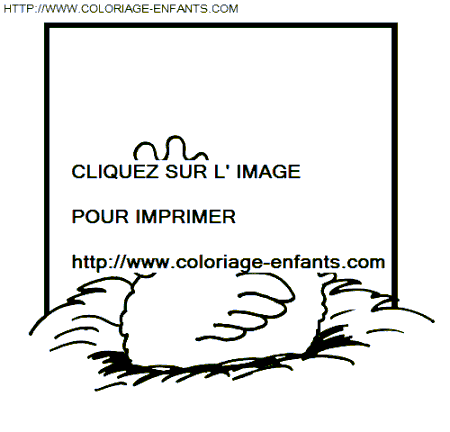 dibujo Gallinas