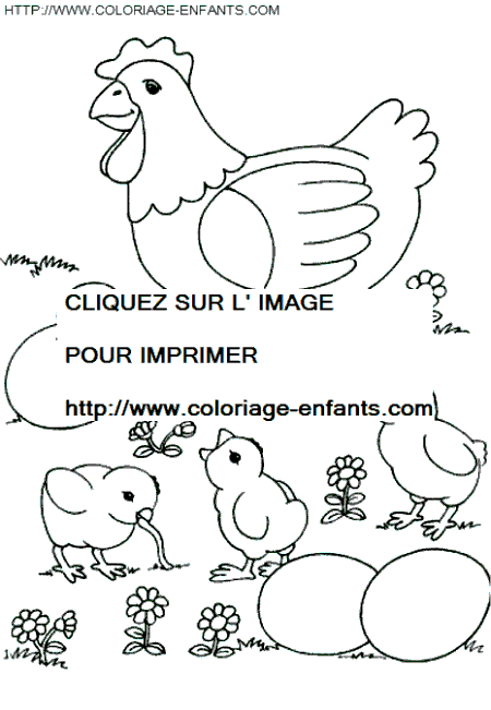 dibujo Gallinas