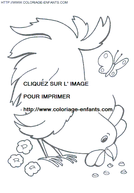 dibujo Gallinas