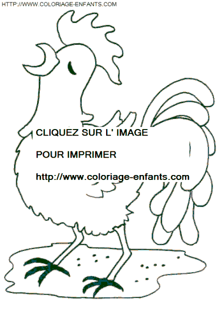 dibujo Gallinas