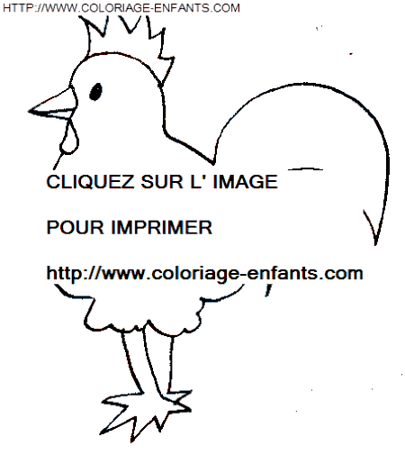 dibujo Gallinas