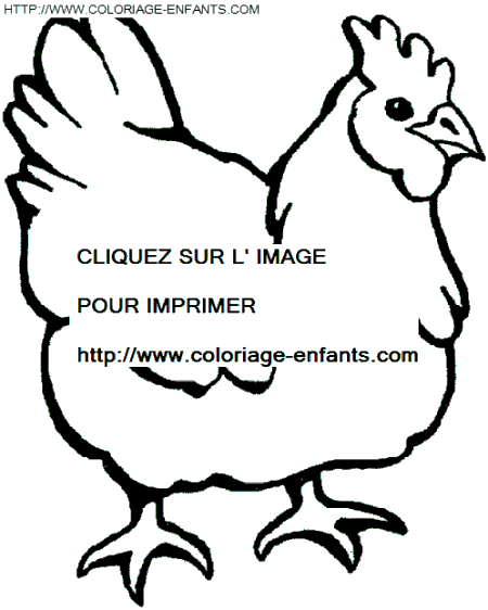 dibujo Gallinas