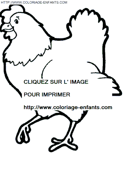 dibujo Gallinas