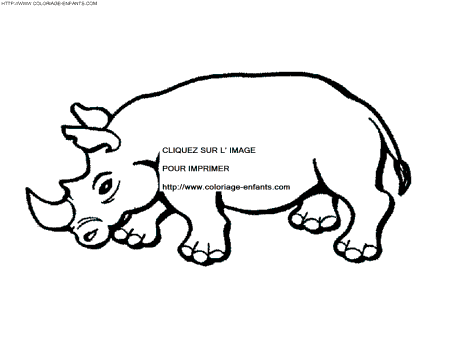 dibujo Rhinoceros