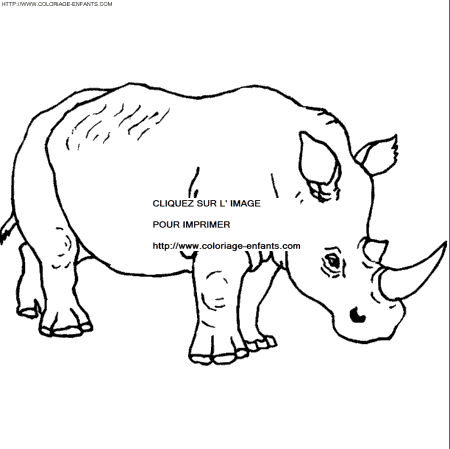 dibujo Rhinoceros