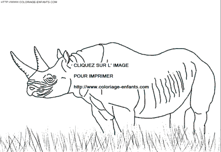 dibujo Rhinoceros