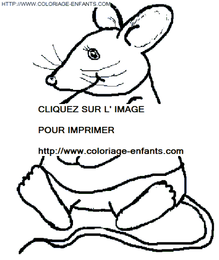 dibujo Ratas