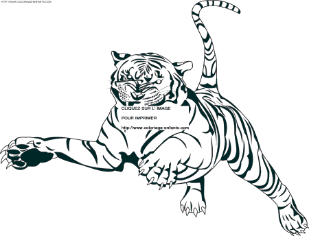 dibujo Tigre