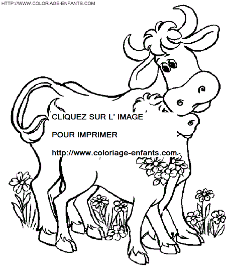 dibujo Vacas